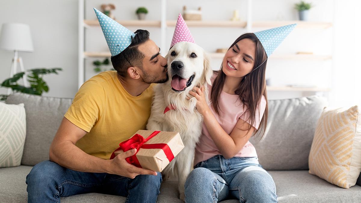 Article Cards Featured Image Young multinational couple in party hats celebrating dog's birthday, holding gift box, kissing their pet at home. Affectionate owners giving golden retriever wrapped present indoors