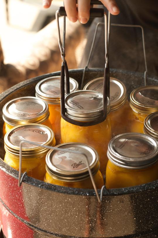 How To Can Peaches   Canning Peaches   Harry & David