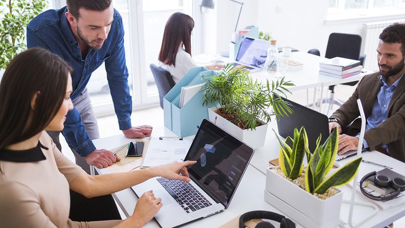 Photo of young workers in an office that makes good use of desk plants