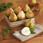 Top Christmas Gifts   Food Gifts at Harry & David   Organic Fruit Gifts