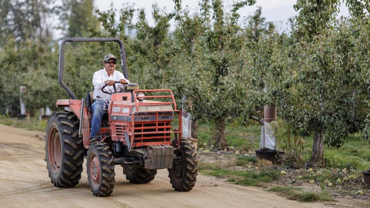 labor day facts image    man driving a tractor