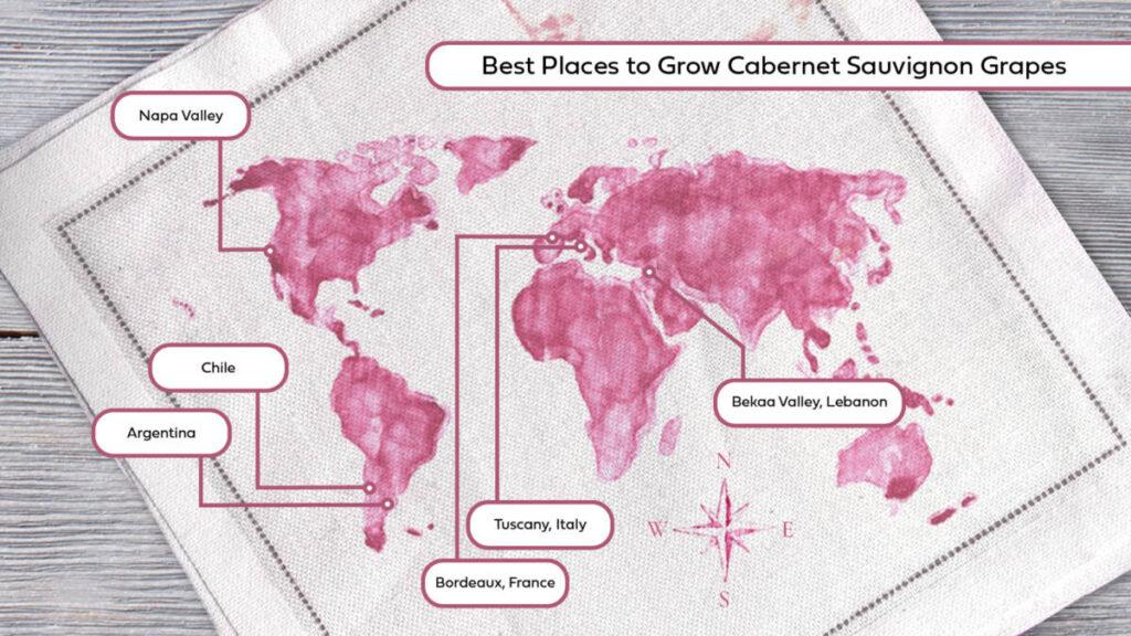 Cabernet sauvignon global map.