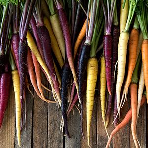 Multi colored carrots on a wooden table.