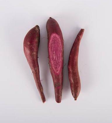 Crown jewel sweet potatoes with a white background.